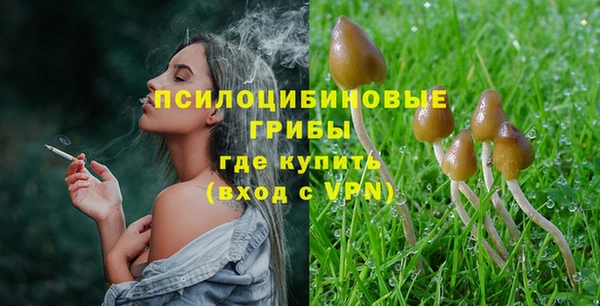 прущие грибы Заполярный