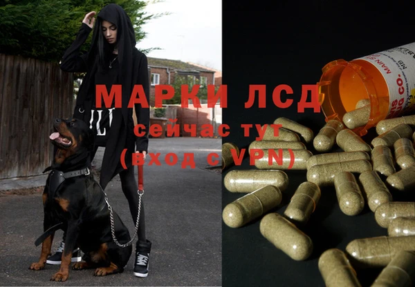 твердый Алзамай