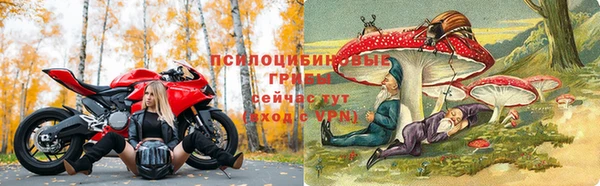 Альфа ПВП Абдулино