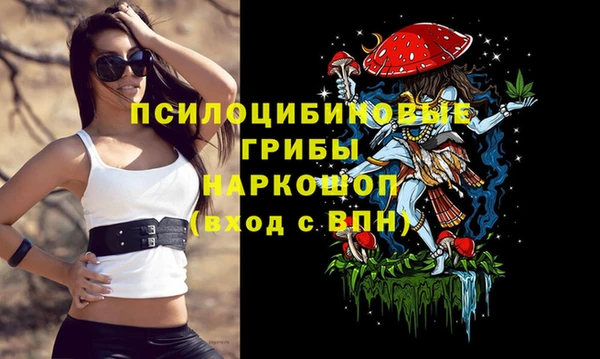 соль ск Абаза