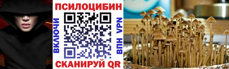 Псилоцибиновые грибы мицелий  OMG ссылка  Болотное 
